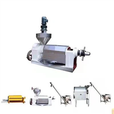 Sunflower Seed Oil Press Untuk Produksi Pakan
