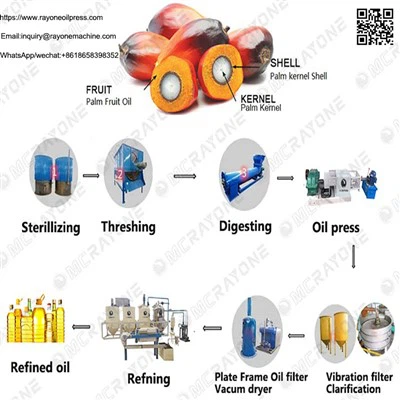 Mesin Apa Yang Dibutuhkan Untuk Memproduksi Minyak Sawit